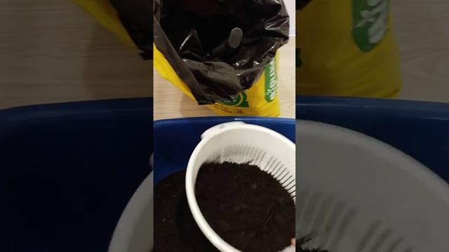 Почвогрунт "Агрикола". #Обзор грунта #Агрикола #Рассада смотреть онлайн