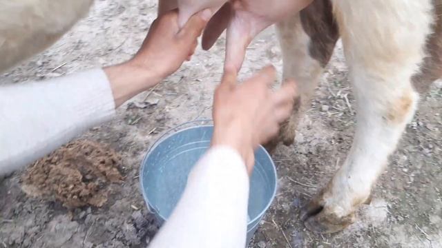 Моли фурӯши 23 март 2022 номер 911217221 смотреть онлайн