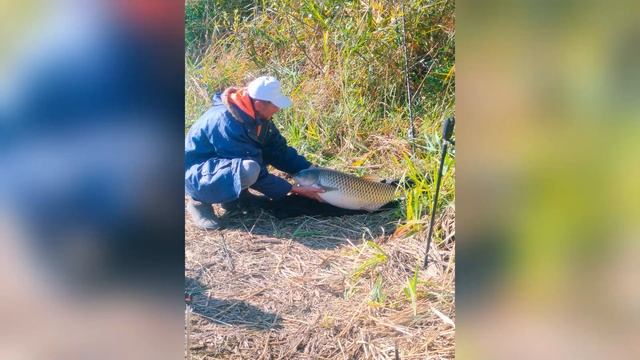 64 Рыбхоз 22.09.23 Рыбалка