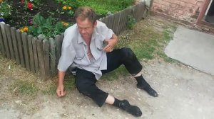 Ящерица прикол