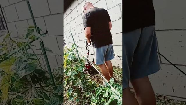 мотоблок #культиватор смотреть онлайн