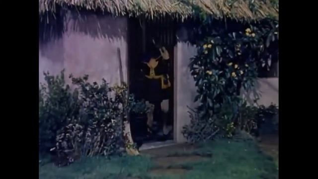 Growing Legumes 🌤 Выращивание Бобовых смотреть онлайн