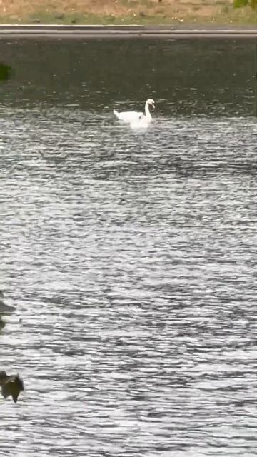 Красота в простом #татьянараспопова смотреть онлайн