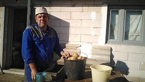 семенной картофель из,, пятерочки,,