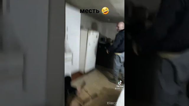 панда приготовил приколы.. я угорал 3 часа