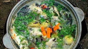 Уха . Очень вкусная.