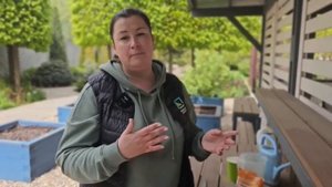 Простой способ посева моркови без прореживания кисел?