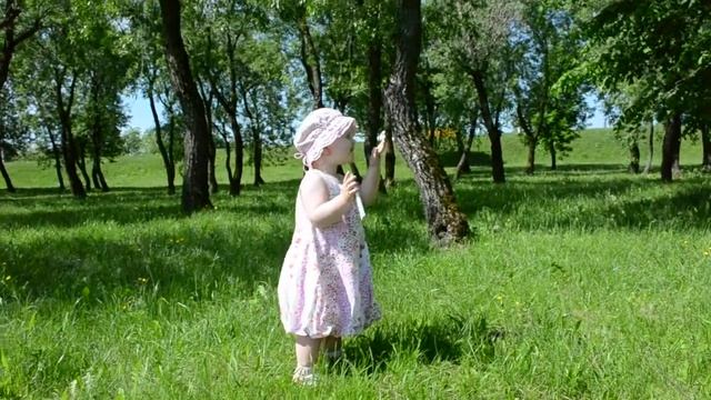 В парке летом хорошо