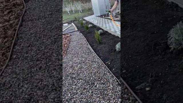 КЛУМБА БЕЗ ПРОПОЛКИ смотреть онлайн