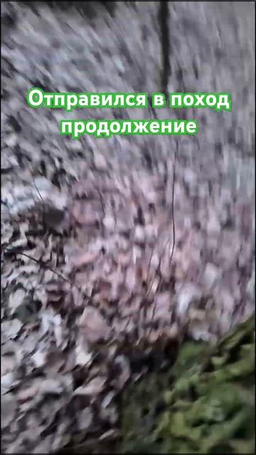 #боже #тикток #гномы #природа #рыцари #история #люди #рас смотреть онлайн