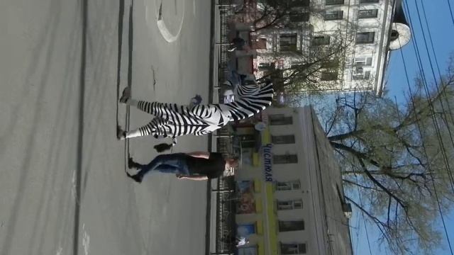 Зебра из "Мадагаскара" ходит по улицам Калуги смотреть онлайн