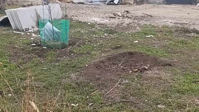 8. Dezember 2024 Полила саженцы, нет никакого настроение. смотреть онлайн