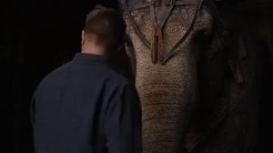 Фильм воды слонам (2011)