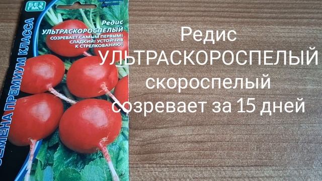 Редис/на завтрак