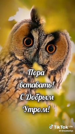 Хватит спать вставай пришел