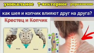 Как через копчик оживить и укрепить шею и мозг? Упражнения