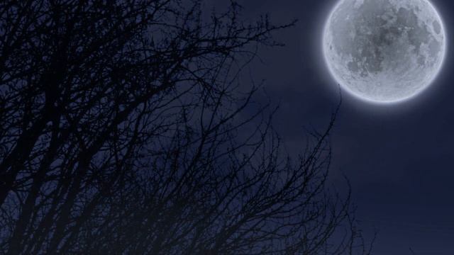 ДВАДЦАТЫЙ лунный день (сутки) смотреть онлайн