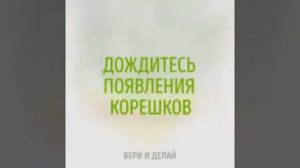 Как вырастить ананас?🍍🍍🍍