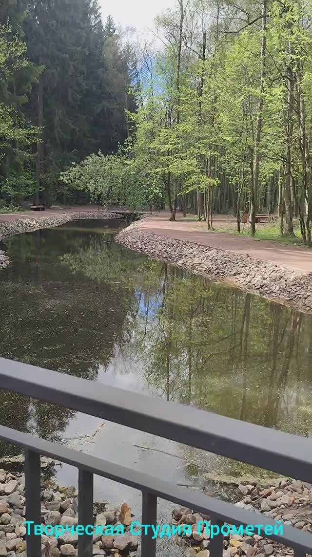Боровский Парк 06.05.2025