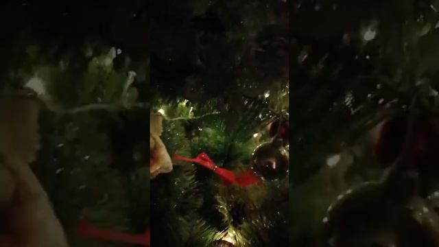 16 января 2020 г. смотреть онлайн