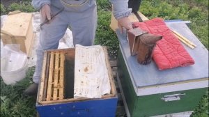 Расширение улья дадан