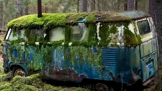 Семья нашла заброшенный автобус войдя внутрь они пот?