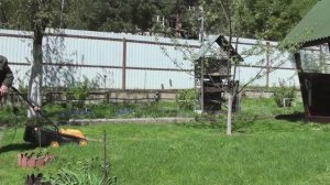 Вернулся, а на даче красота// Покосил первую траву, поколол дрова, посадил крыжовник