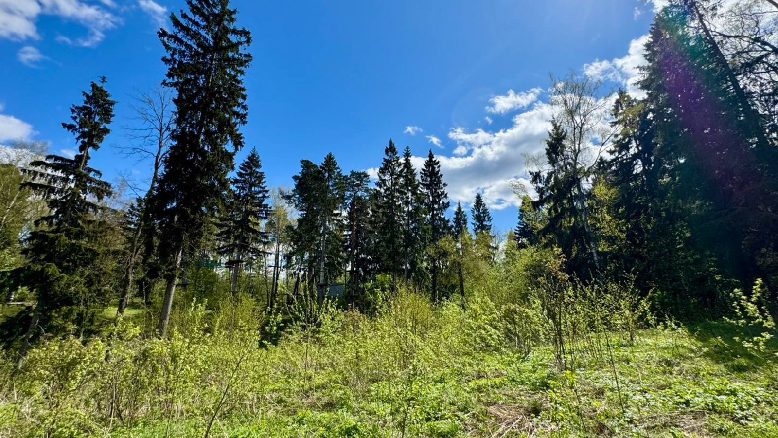 video5247211478813016326