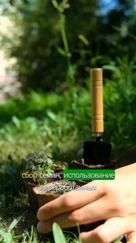 Как не потратить бюджет на рассаду? #дача #рассада #сад