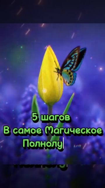 15 декабря магическое полнолуние