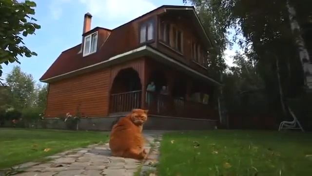 Дмитрий Медведев о прописке на садовых участках