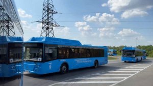 Минобороны РФ сообщило о возвращении 205 военных из украинского плена