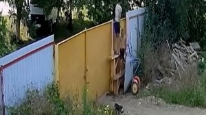 Видео кражи садовой тачки подростками стало хитом в С?