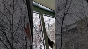 Устано-а рам-ы, нар-няя отд-ка