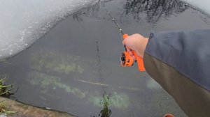 ЛОВИМ ФОРЕЛЬ НА ЗИМНЮЮ УДОЧКУ