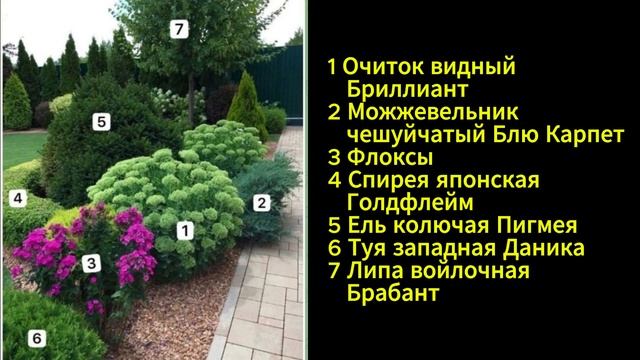 Что посадить на участке #идеидлясада #дача #своимирука