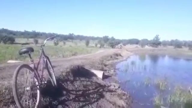 ТАЙСОН 1 г. сын УРКАНА и КАРАШКИ внук ЖИГАНА и ЦЫГАНА. смотреть онлайн