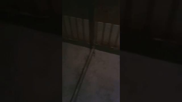 Выращ молодняк 1 смотреть онлайн