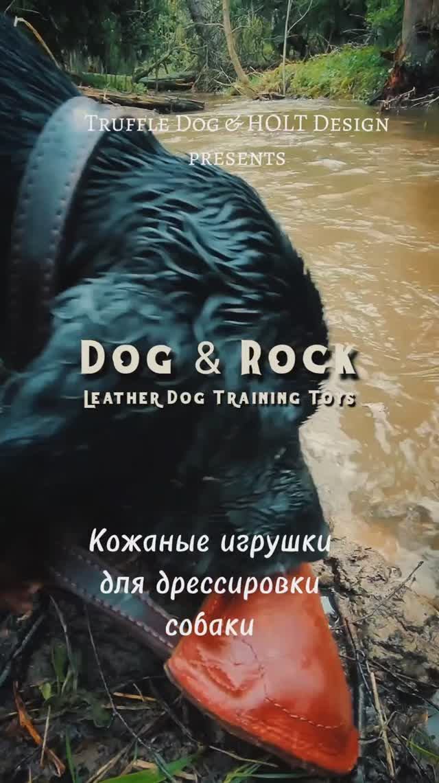 Игрушки из кожи для собак