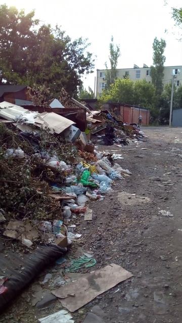 6 августа 2024 г. смотреть онлайн