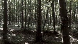 АВАДА КЕДАВРА прикол 🤣 AVADA KEDAVRA meme 😂