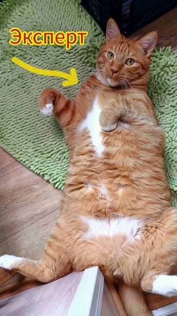 Незапланированная пересадка садика Ну зато я зна?