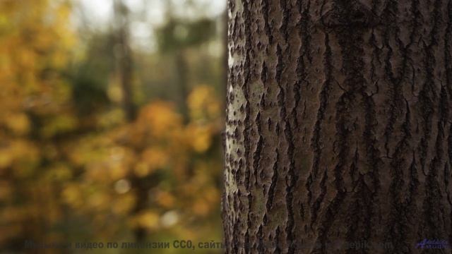 Грозовые тучи и жёсткий дроп! - Ocean Breeze -- Ketsa -- Vitality