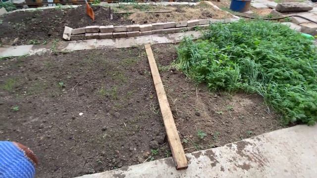 восстановление грунта после стройки травой после кур