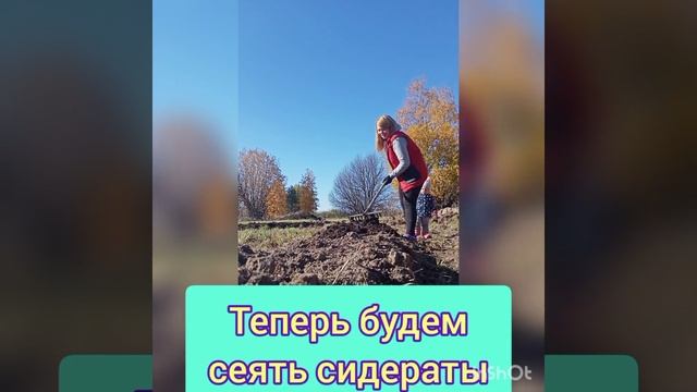 ☀️ ОГОРОД В ФОРМЕ СОЛНЫШКА ☀️ #САД #ОГОРОД #ГРЯДКИ #ДЕ