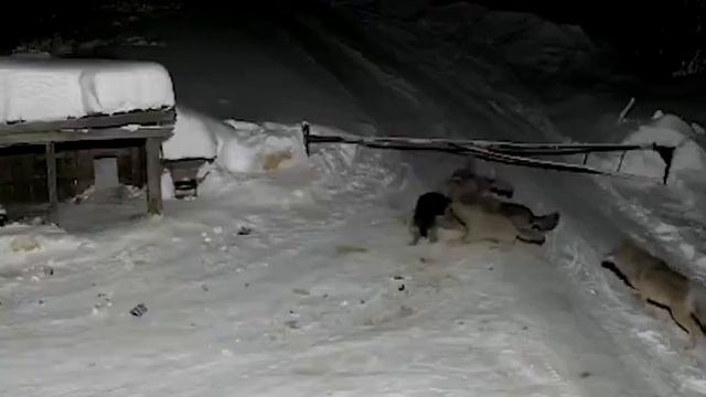 Россия,не верь ,,родственничкам",сбрось цепи обязательств... смотреть онлайн