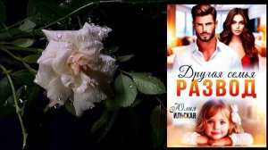Развод. Другая семья (Юлия Ильская) Аудиокнига