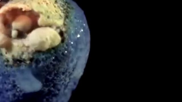 Прикольные видео