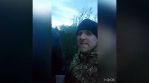 Посев кормовых полей.