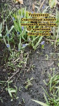Сезон 2024 Баня Бочка Квадро